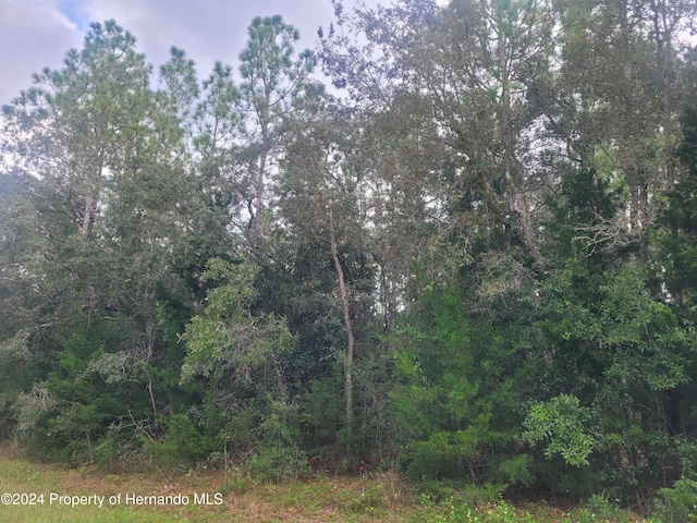 13166 Charlton Dr, Weeki Wachee FL, 34614 land for sale