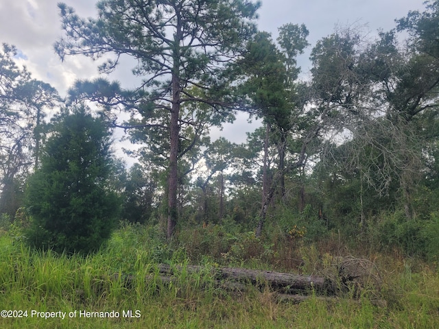 16224 Crider Rd, Weeki Wachee, FL 34614 - photo 2