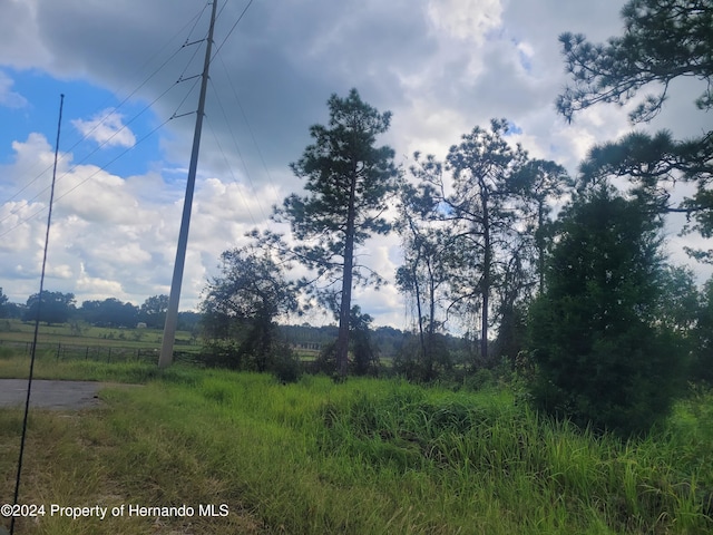 16224 Crider Rd, Weeki Wachee, FL 34614 - photo 3