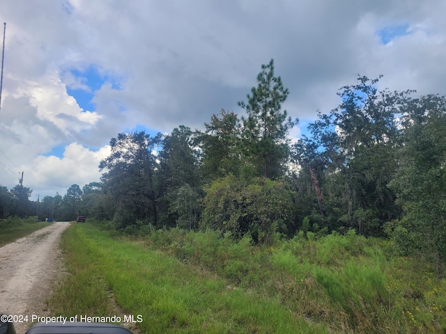 16224 Crider Rd, Weeki Wachee, FL 34614 - photo 6