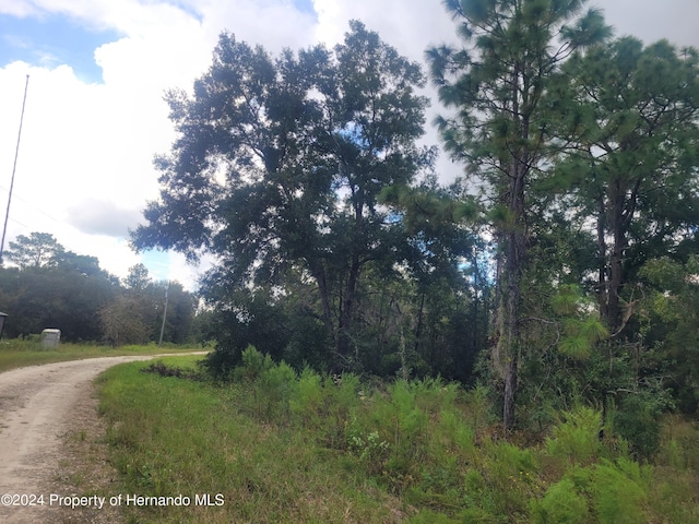 16224 Crider Rd, Weeki Wachee, FL 34614 - photo 7
