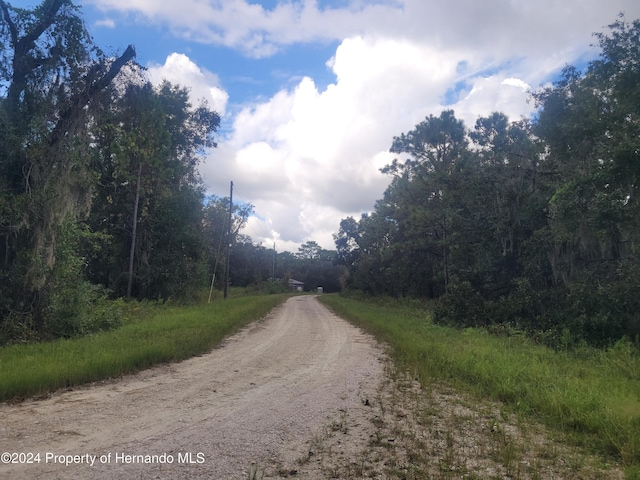 16224 Crider Rd, Weeki Wachee, FL 34614 - photo 8