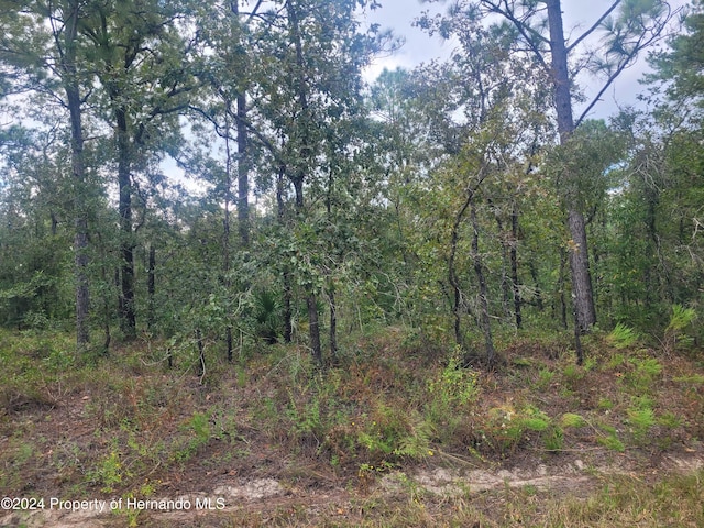 13220 Velvet Scoter Ave, Weeki Wachee, FL 34614