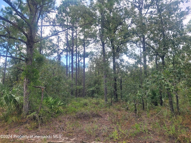 13220 Velvet Scoter Ave, Weeki Wachee, FL 34614