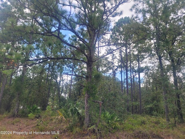 13220 Velvet Scoter Ave, Weeki Wachee, FL 34614
