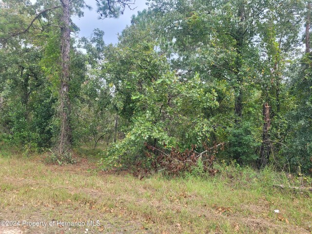 13220 Velvet Scoter Ave, Weeki Wachee, FL 34614