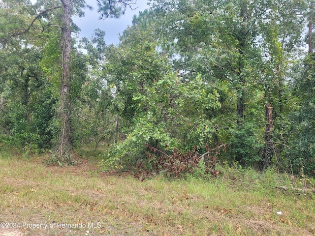13220 Velvet Scoter Ave, Weeki Wachee, FL 34614 - photo 4