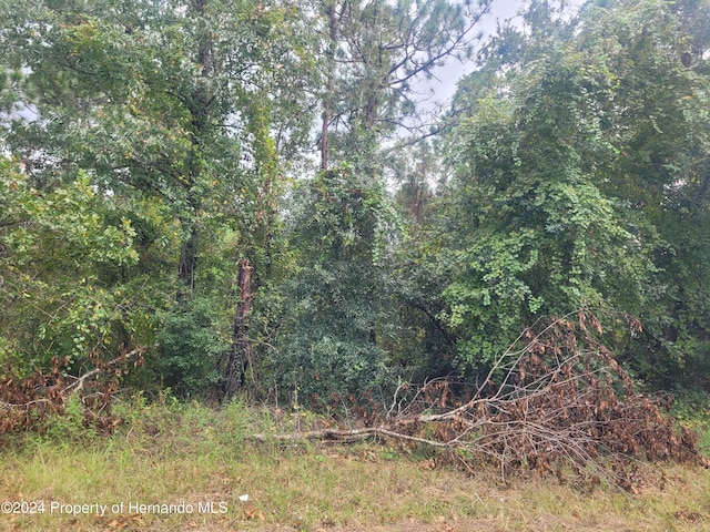 13220 Velvet Scoter Ave, Weeki Wachee, FL 34614