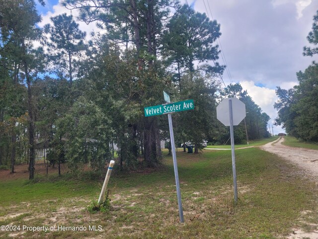 13220 Velvet Scoter Ave, Weeki Wachee, FL 34614