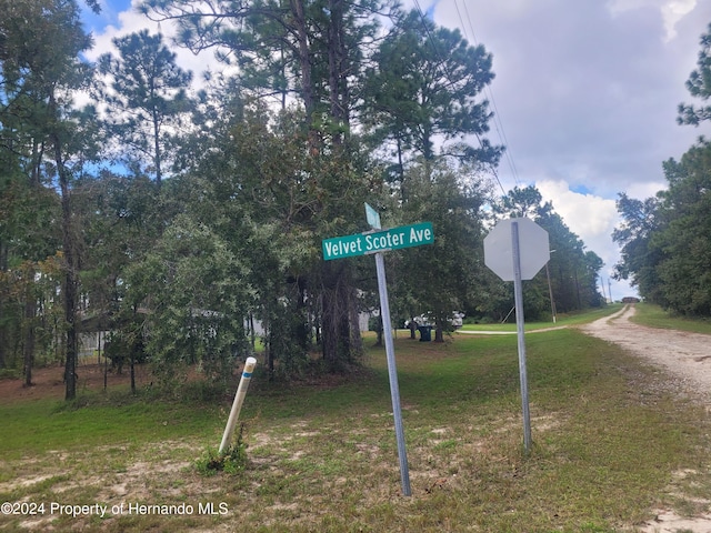 13220 Velvet Scoter Ave, Weeki Wachee, FL 34614 - photo 7