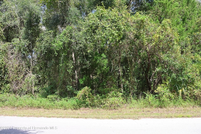 439 S Snapp Ave, Inverness FL, 34452 land for sale