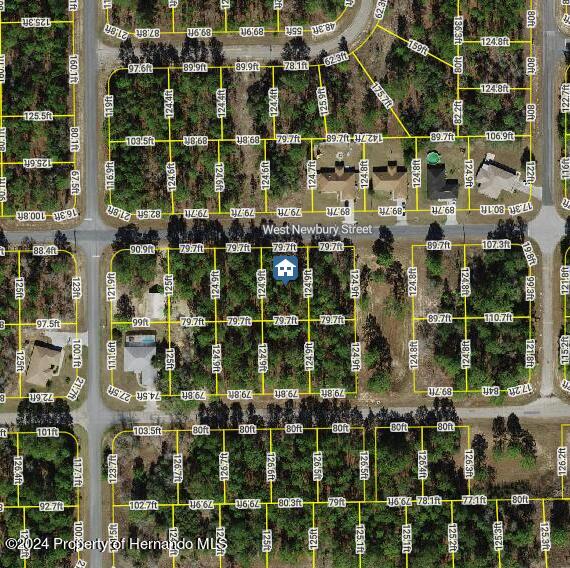 1228 W Newbury St, Dunnellon FL, 34434 land for sale