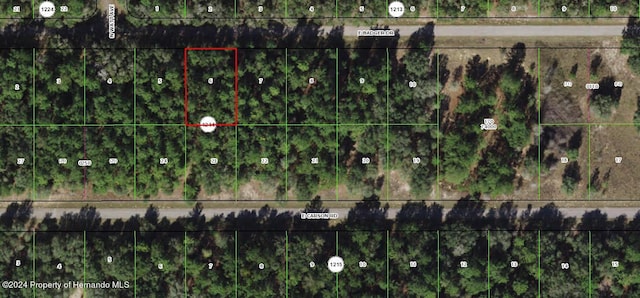 1650 E Badger Dr, Citrus Springs FL, 34434 land for sale