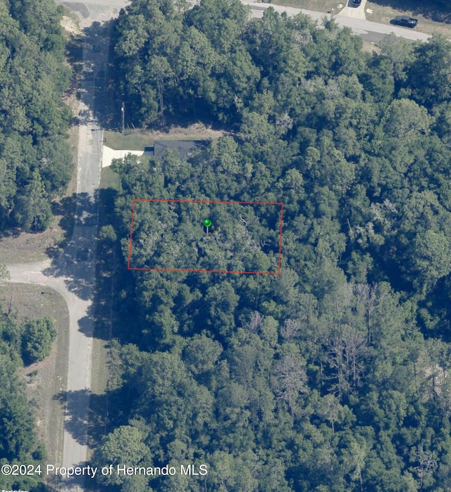 219 E Caldwell Dr, Citrus Springs FL, 34434 land for sale