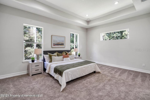 carpeted bedroom with a tray ceiling