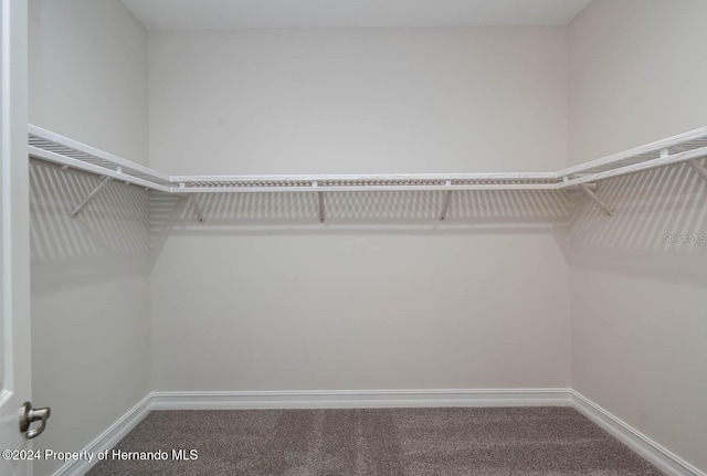 6436 Summit View Dr, Brooksville, FL 34601 - walk in closet featuring carpet