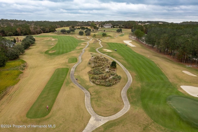 6436 Summit View Dr, Brooksville, FL 34601 - aerial view of property's location