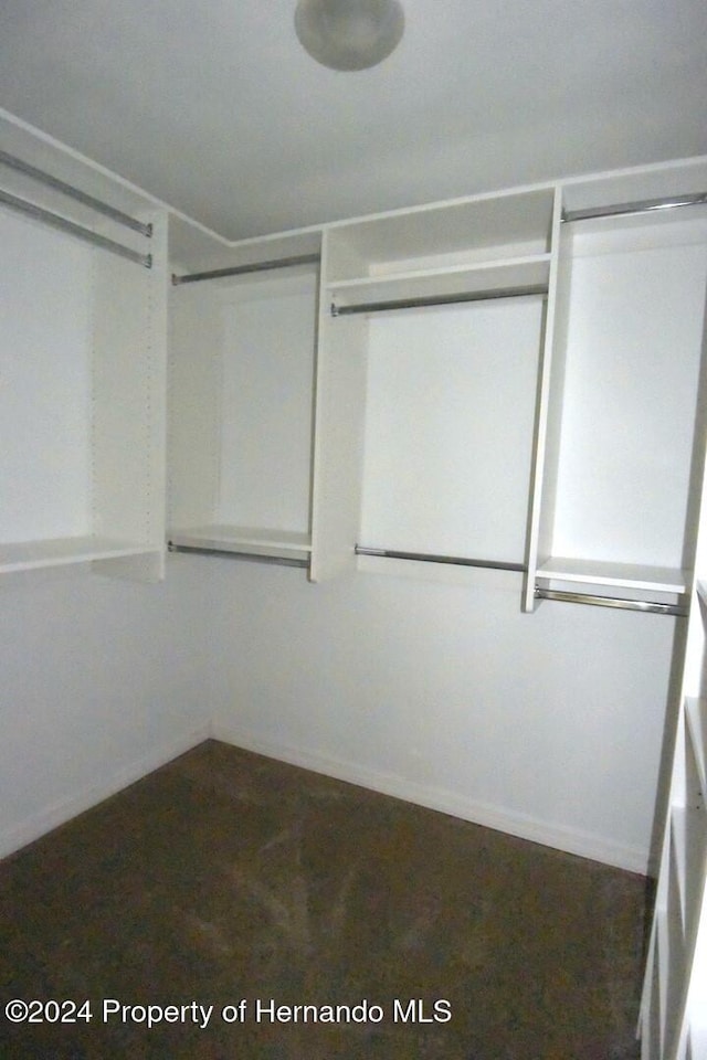 walk in closet with dark carpet