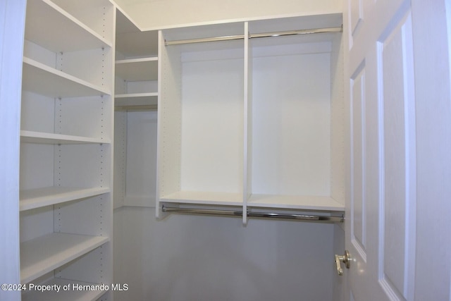 view of walk in closet