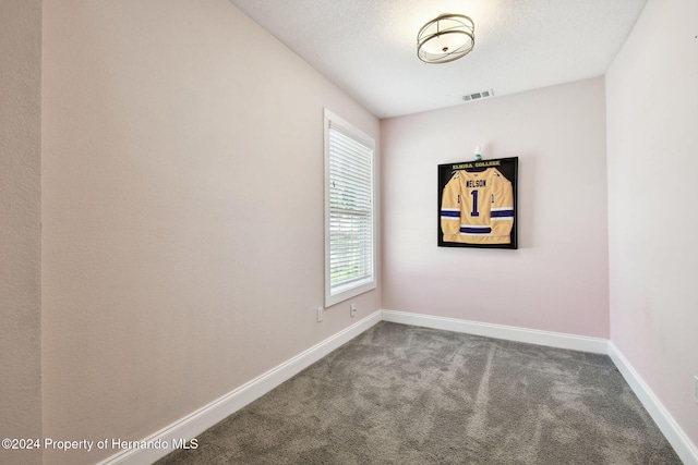 empty room with carpet floors and a textured ceiling