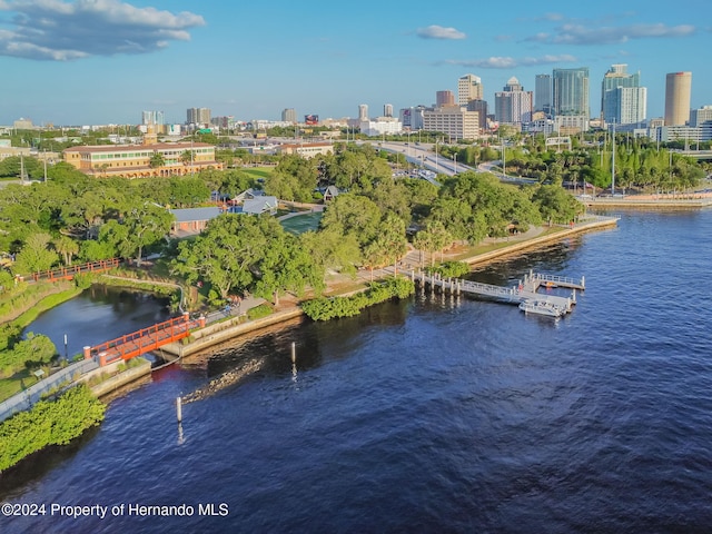 bird's eye view with a water view