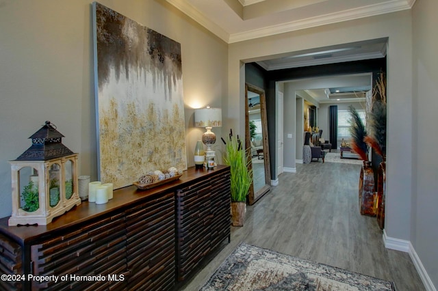 corridor featuring wood-type flooring, a raised ceiling, and crown molding