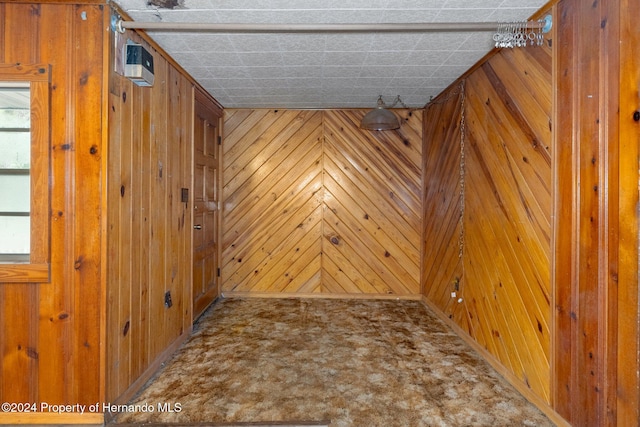 carpeted spare room with wooden walls