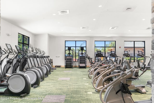 gym featuring a healthy amount of sunlight and light carpet