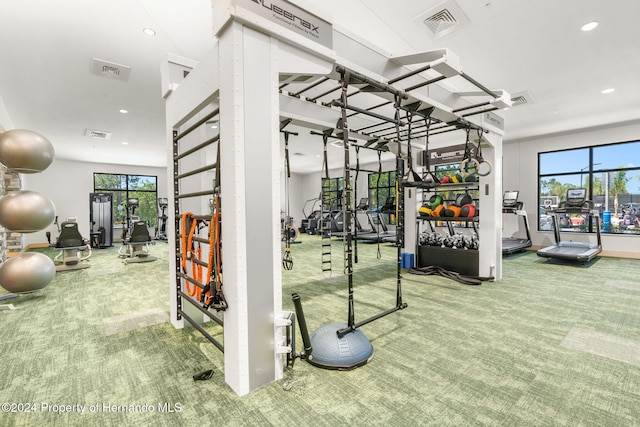 exercise room with carpet flooring