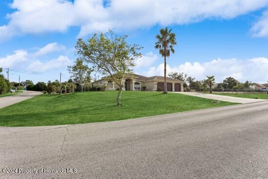 ranch-style house featuring a front lawn