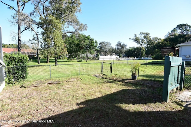 view of yard