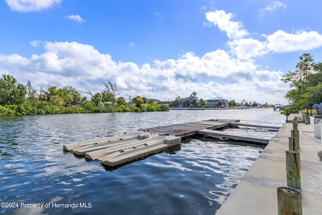 dock area with a water view