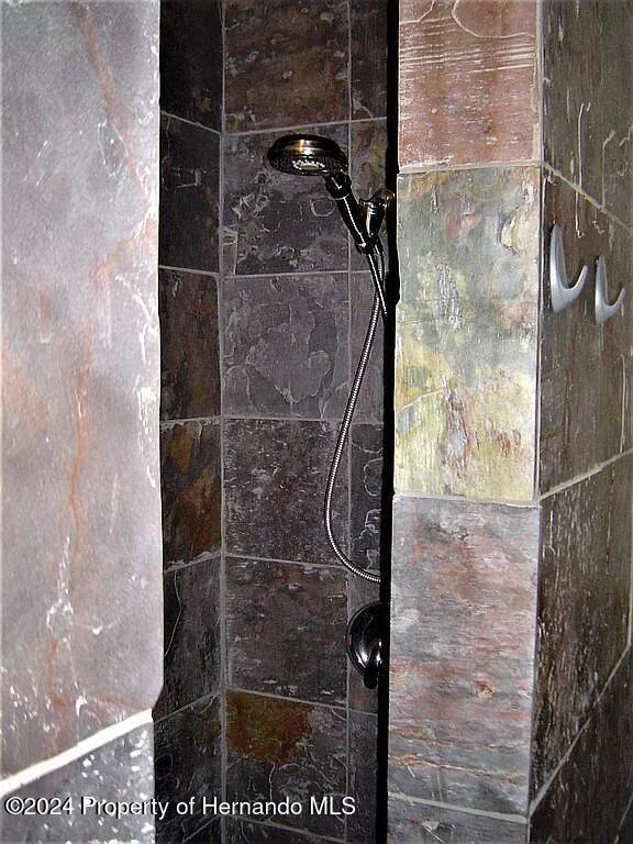 3519 Cobia Dr, Hernando Beach, FL 34607 - bathroom view of a tile shower