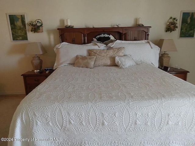 3519 Cobia Dr, Hernando Beach, FL 34607 - view of bedroom