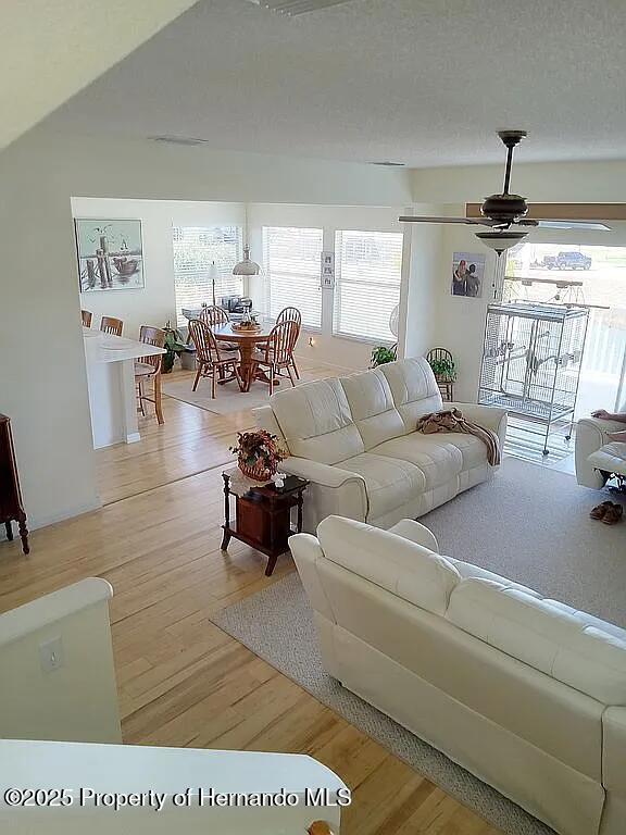 3519 Cobia Dr, Hernando Beach, FL 34607 - living room featuring healthy amount of natural light, light wood-type flooring, and a ceiling fan