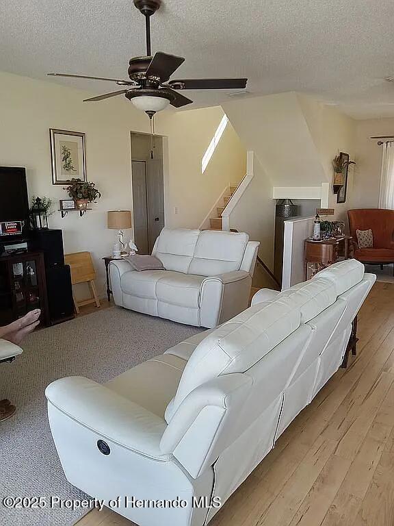 3519 Cobia Dr, Hernando Beach, FL 34607 - photo 9