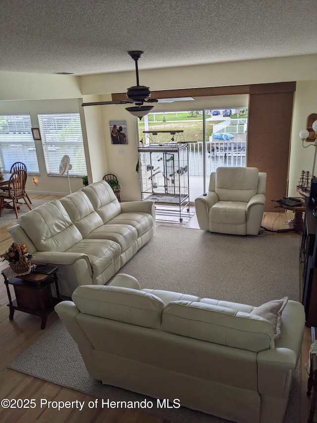 3519 Cobia Dr, Hernando Beach, FL 34607 - photo 40
