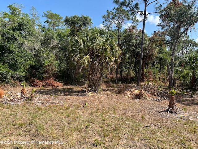 706 Ledge St, Lehigh Acres FL, 33972 land for sale