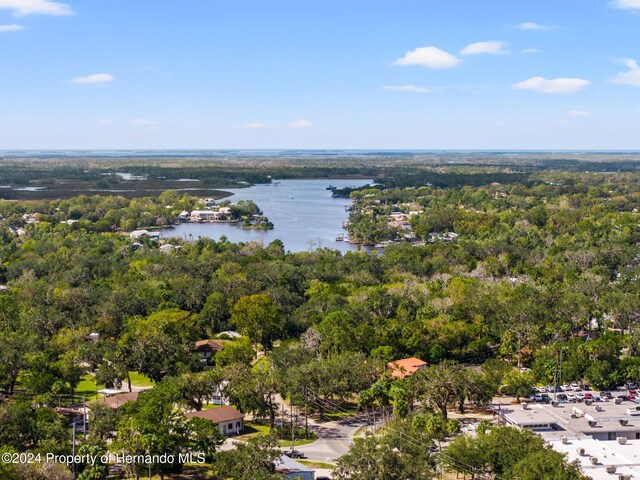 10844 Yulee Dr, Homosassa, FL 34447 - photo 52