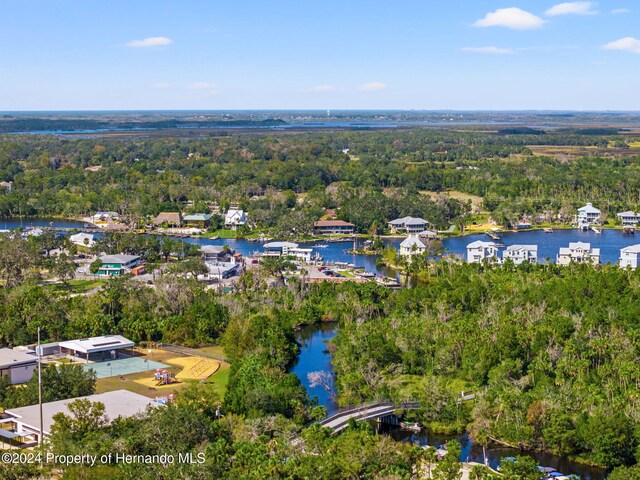 10844 Yulee Dr, Homosassa, FL 34447 - photo 53
