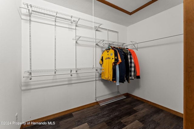 walk in closet featuring dark wood-type flooring