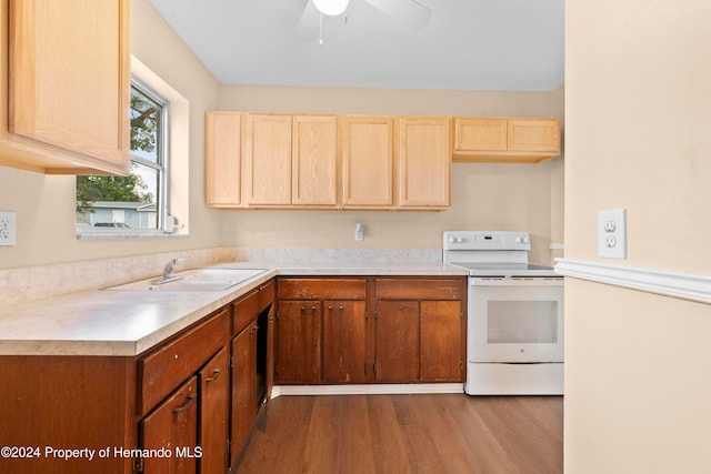 kitchen featuring light hardwood / wood-style floors, ceiling fan, and electric stove