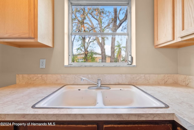 details featuring sink and light brown cabinetry