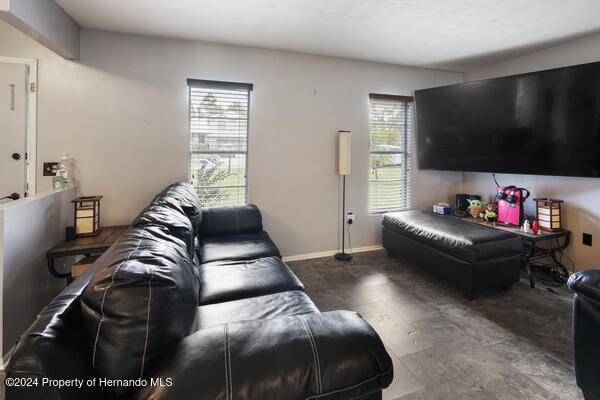 living room featuring plenty of natural light