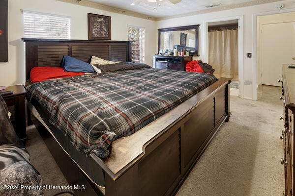 carpeted bedroom with multiple windows and ceiling fan