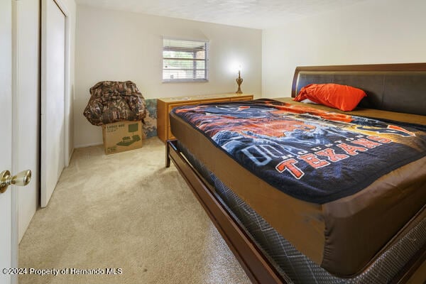 bedroom featuring light colored carpet