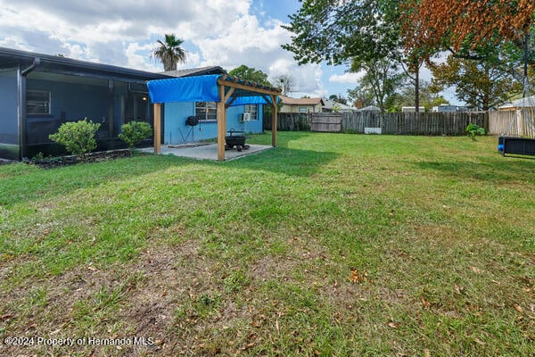 view of yard featuring a patio