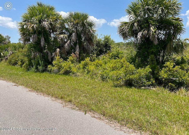 2071 Chaffee St, Port Charlotte FL, 33953 land for sale