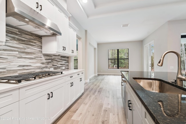 19411 Sheltered Hill Dr, Brooksville, FL 34601 - kitchen featuring under cabinet range hood, stainless steel appliances, a sink, light wood-type flooring, and backsplash