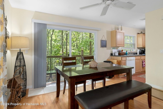 dining space with ceiling fan, light hardwood / wood-style flooring, and plenty of natural light